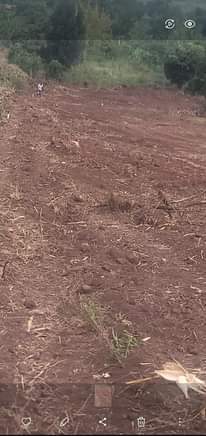 A picture of Plots on sale