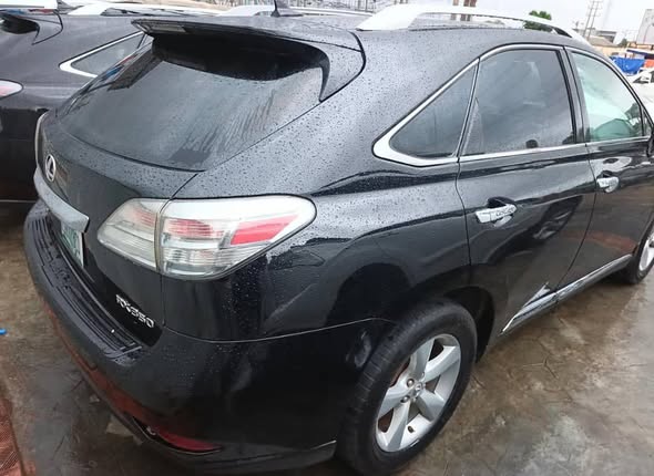 A picture of 2010 Lexus Rx350