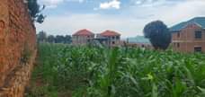 A picture of 100 100ft 25decimals for sale in Seguku Katale With ready