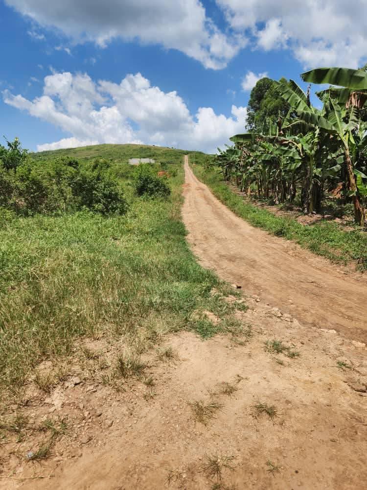 A picture of Wakiso kakiri plots