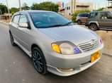 A picture of Allex