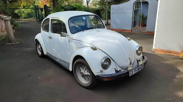 vw beetle