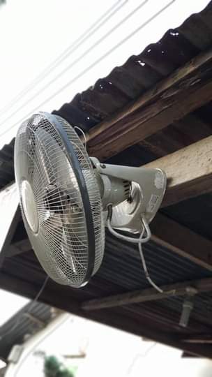 A picture of FENI ZA JUU MPYAA 35000 TU 0626809292