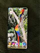samsung s10