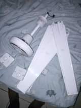 A picture of Ox fan
