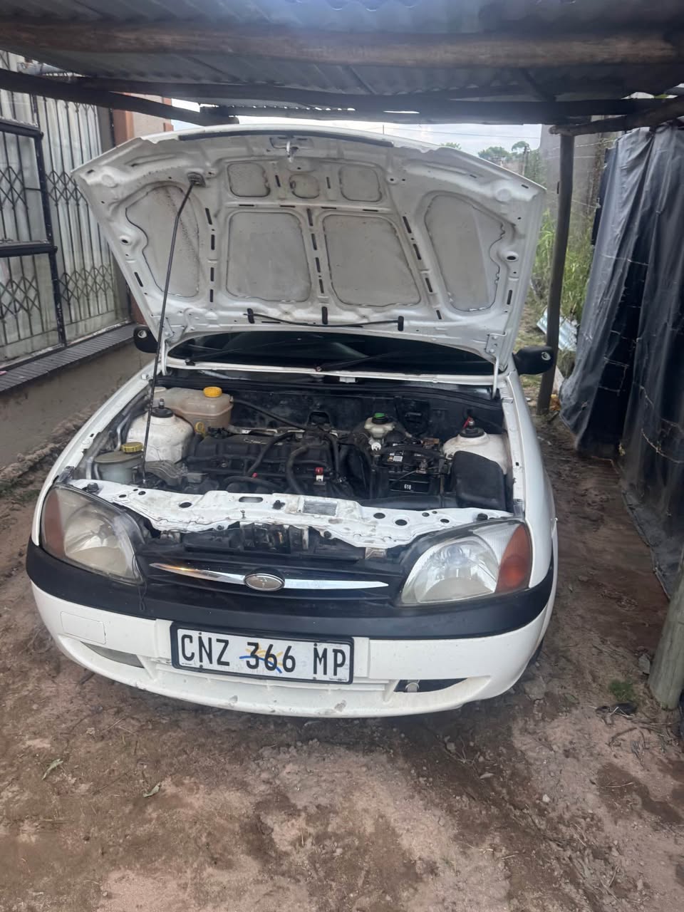 ford ikon
