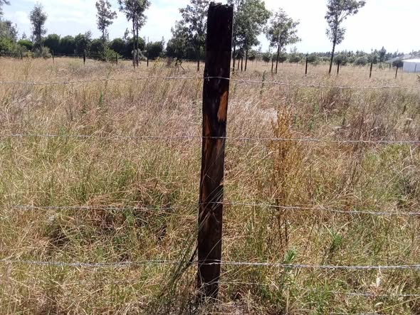 plots nanyuki