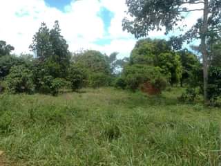 A picture of 5 ACRES WITH READY TITLE FOR SALE IN BUTALANGU KYANYA