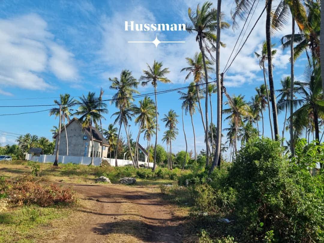 A picture of Beautiful Land Near the Beach Available for Sale in Jambiani