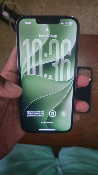 iphone pro max