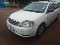A picture of Toyota fielder