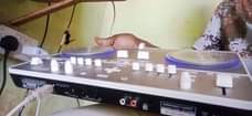 A picture of Dj controller scratch player