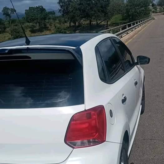 polo vivo