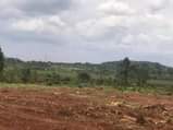 A picture of Bombo kalule town view plots on sale