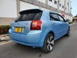 A picture of Runix