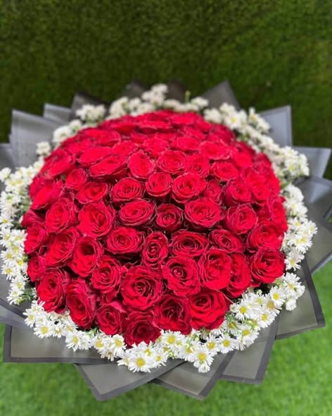 A picture of Flowers