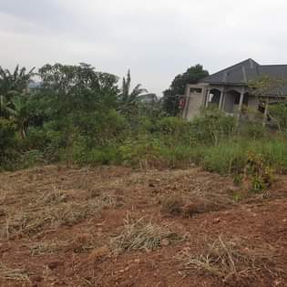 A picture of Land