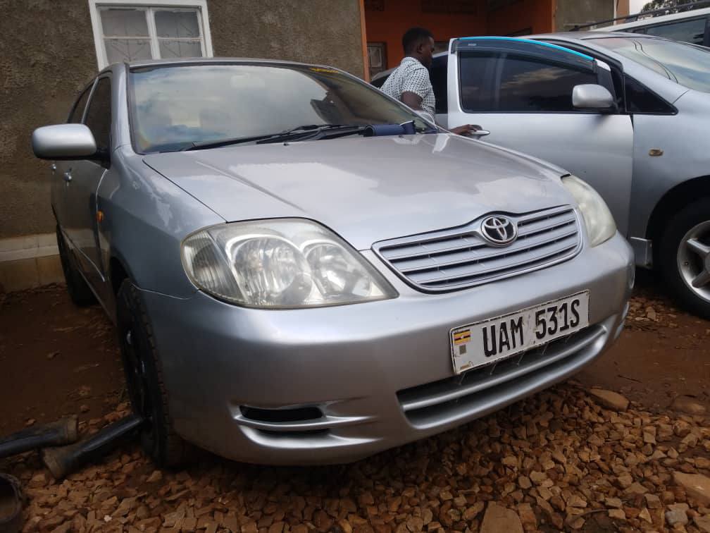 used toyota corolla
