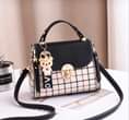 A picture of handbag