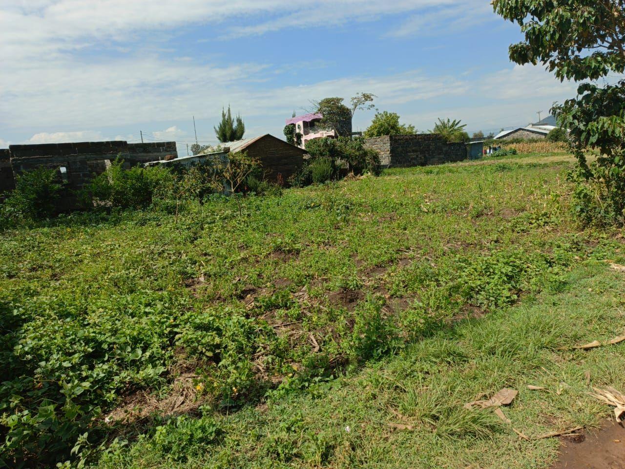 50 100 plots