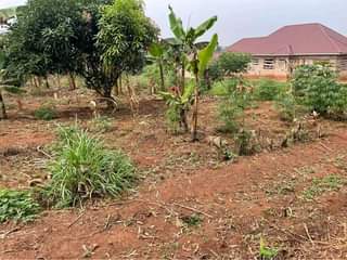 A picture of 2 Residential plots on quick sale at 6 5m each