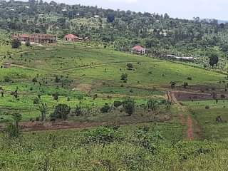 Namawa G.