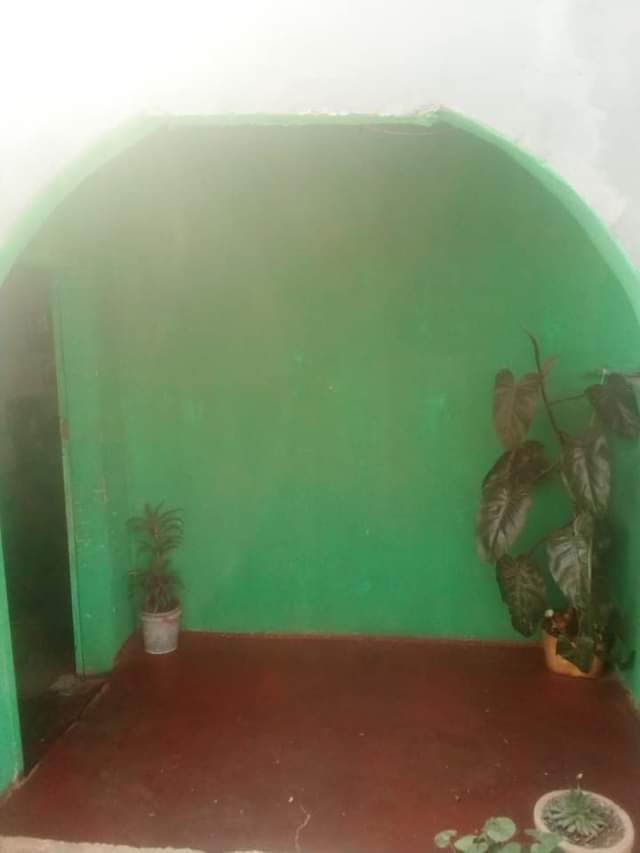 kabanana