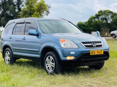 used honda crv