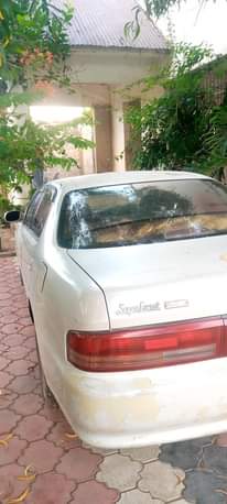 A picture of Cresta