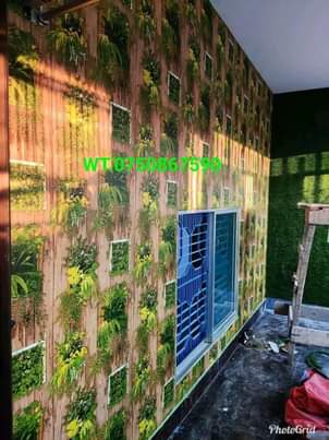 A picture of Wall papers