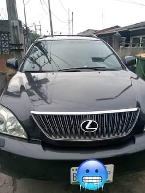 A picture of Sharp deal Clean 2006 Lexus Rx330 Baked on 1st body