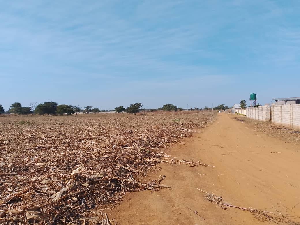 zambia plots