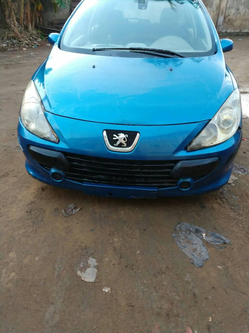 A picture of 2006 Peugeot 307