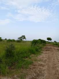 A picture of Kiwanja kinauzwa kiluvya makurunge milion 6 ukubwa sqm 612