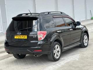 A picture of Forester