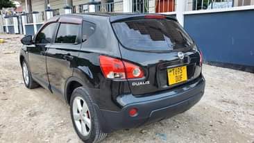 A picture of Nissan dualiz