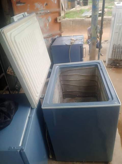 A picture of Friza