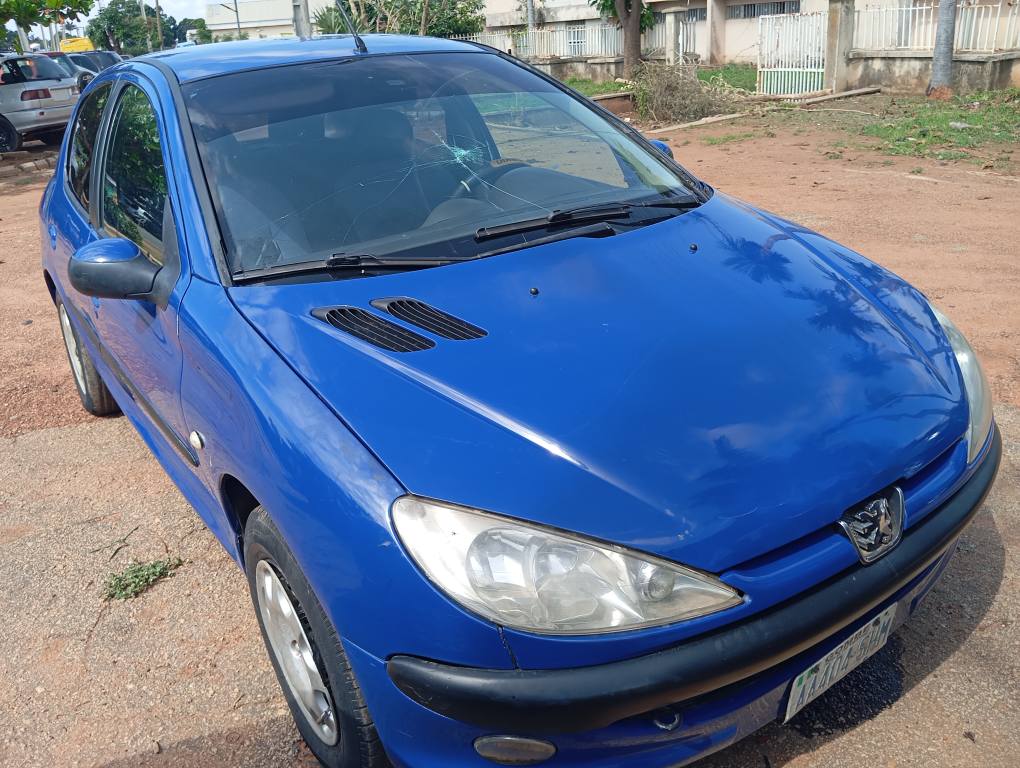 A picture of Peugeot 206 08121000031