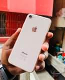 A picture of iPhones