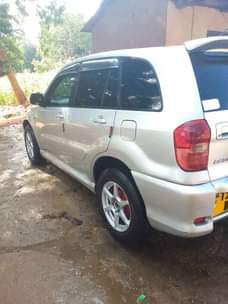 A picture of Rav 4