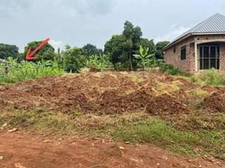 A picture of Plots of land