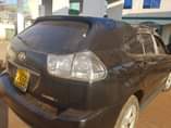 A picture of Harrier kawundo