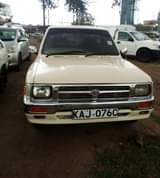 Kariuki W.