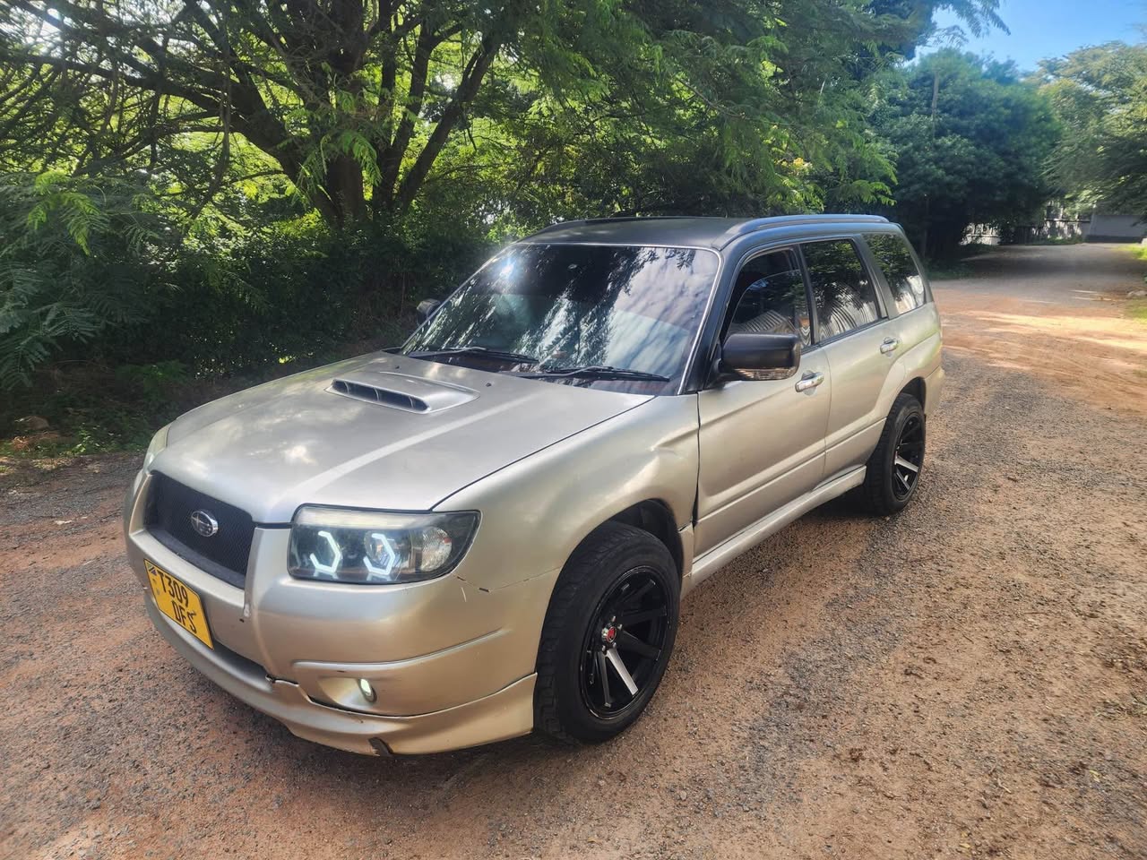 A picture of Subaru