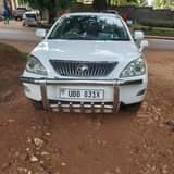 A picture of Harrier kawundo