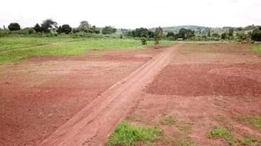 A picture of Nkowe wakiso Estate plots have ready land titles 50by100ft