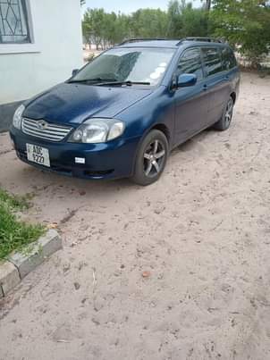 toyota fielder