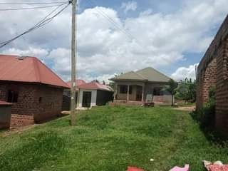 A picture of Quick SALE 19.5m House on sale located at kawanda town