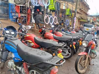 tvs hlx