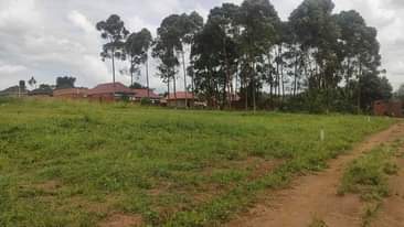 A picture of WAKISO KAYUNGA TOWN COMMERCIAL PLOTS 50ft by 100ft FOR SALE